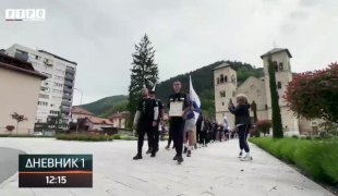 Dnevnik 1