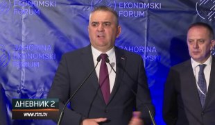 Dnevnik 2