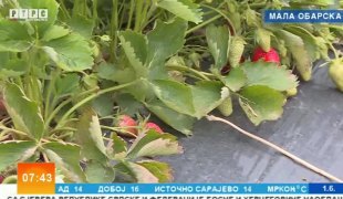 Јutarnji program