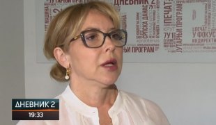 Dnevnik 2
