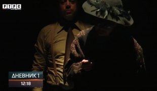 Dnevnik 1