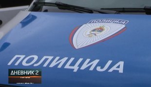 Dnevnik 2