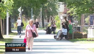 Dnevnik 2