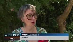 Dnevnik 2
