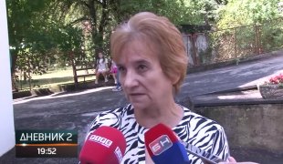 Dnevnik 2
