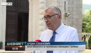 Dnevnik 1