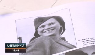 Dnevnik 2