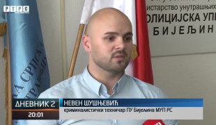 Dnevnik 2
