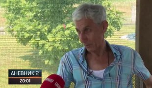 Dnevnik 2