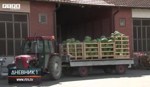 Dnevnik 1