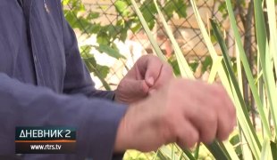 Dnevnik 2