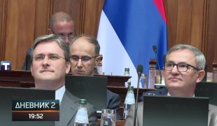 Dnevnik 2