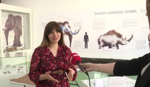 Јutarnji program