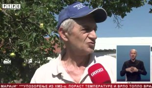 Srpska Danas