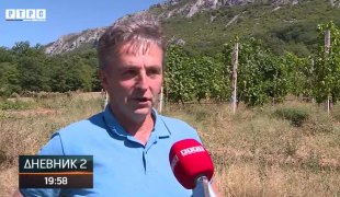 Dnevnik 2