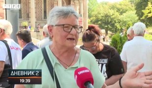 Dnevnik 2