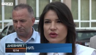 Dnevnik 1