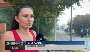 Dnevnik 2