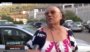 Dnevnik 2