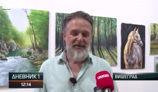 Dnevnik 1