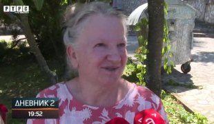Dnevnik 2