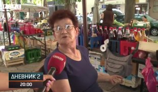 Dnevnik 2