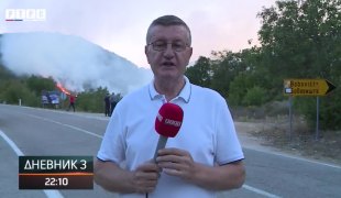 Dnevnik 3