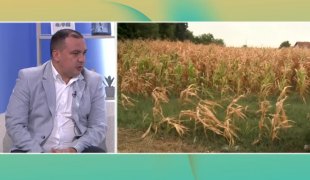Јutarnji program
