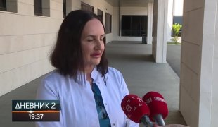Dnevnik 2
