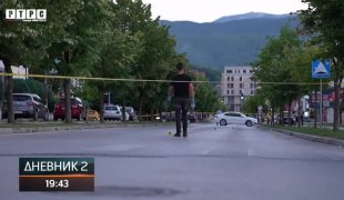 Dnevnik 2
