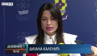 Dnevnik 1