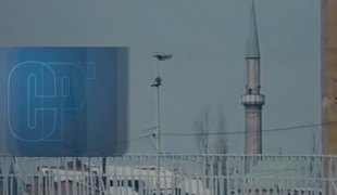 Dokumentarni program