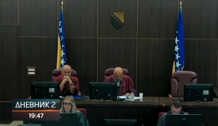 Dnevnik 2