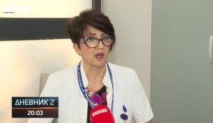 Dnevnik 2