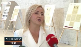 Dnevnik 2