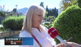 Dnevnik 2