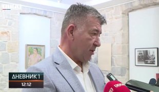 Dnevnik 1