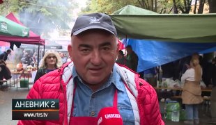 Dnevnik 2
