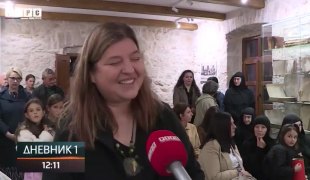 Dnevnik 1