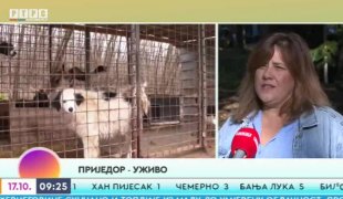 Јutarnji program